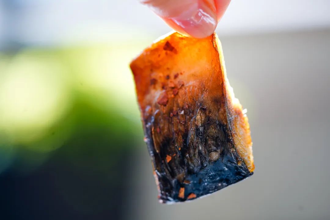 日式碳烤青花鱼做法,干煎小金枪鱼