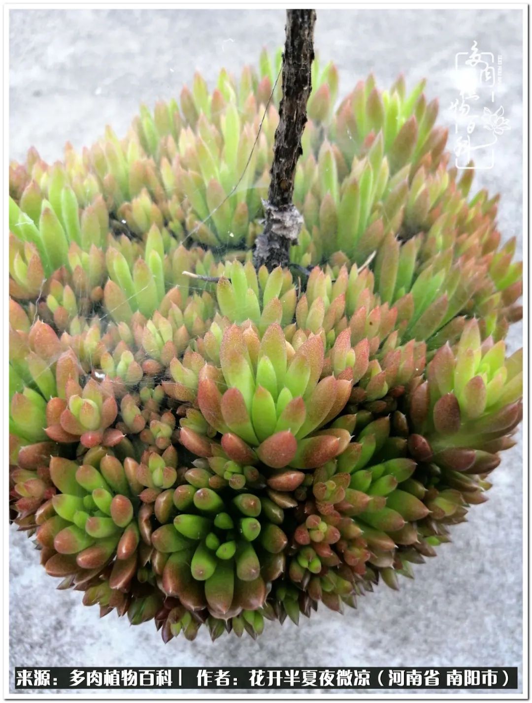 万事开头难只要坚持才有收获,万事开头难只要肯干就会有结果