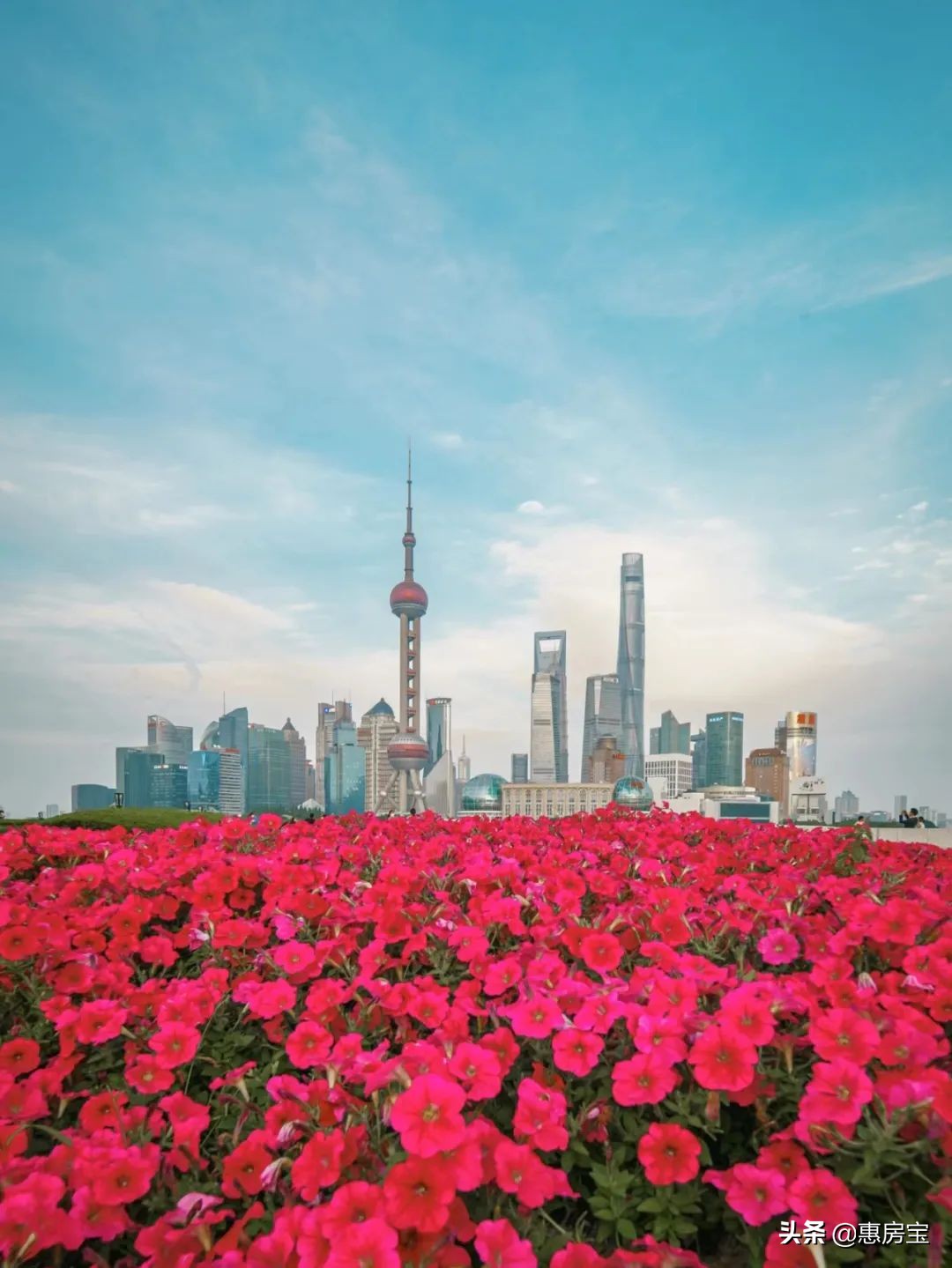 上海公园免费,上海免费公园排行