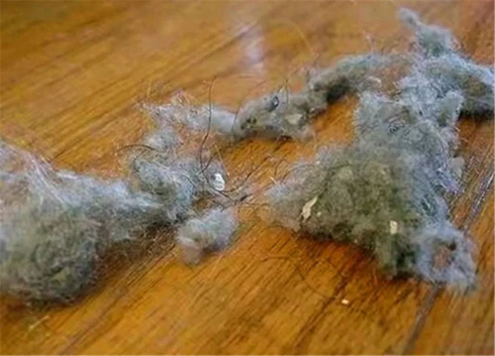 家里总是有灰尘毛絮用什么擦除,家里老是有毛毛灰怎么清除干净