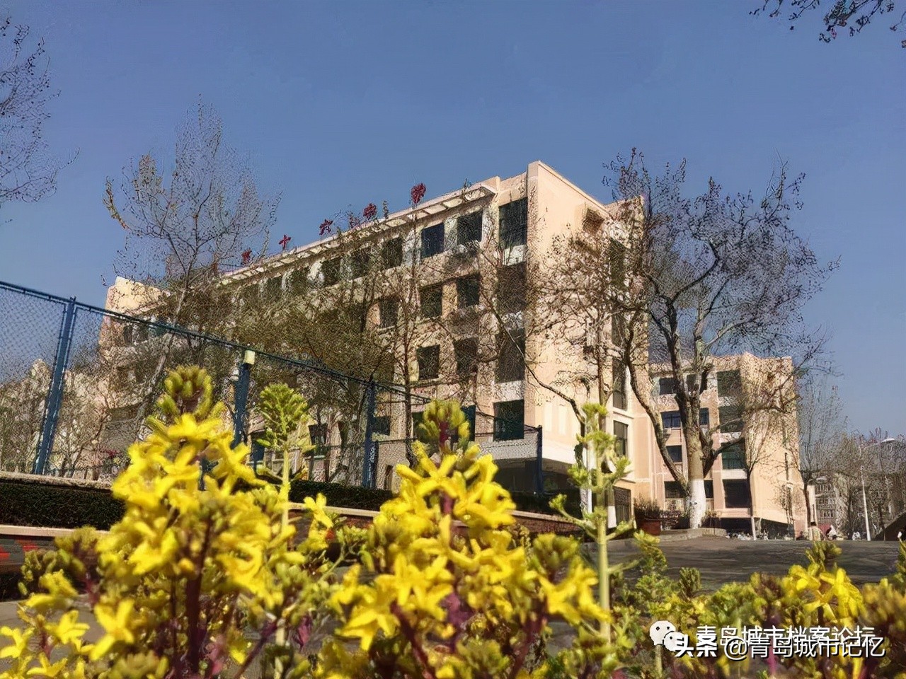 青岛市第十六中学简介,青岛第十六中老照片