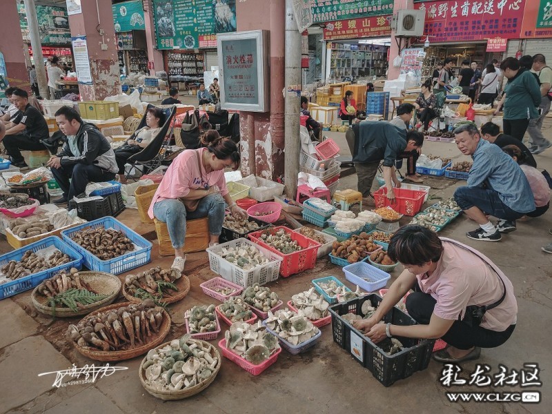 云南旅行攻略昆明,云南旅游全攻略昆明篇