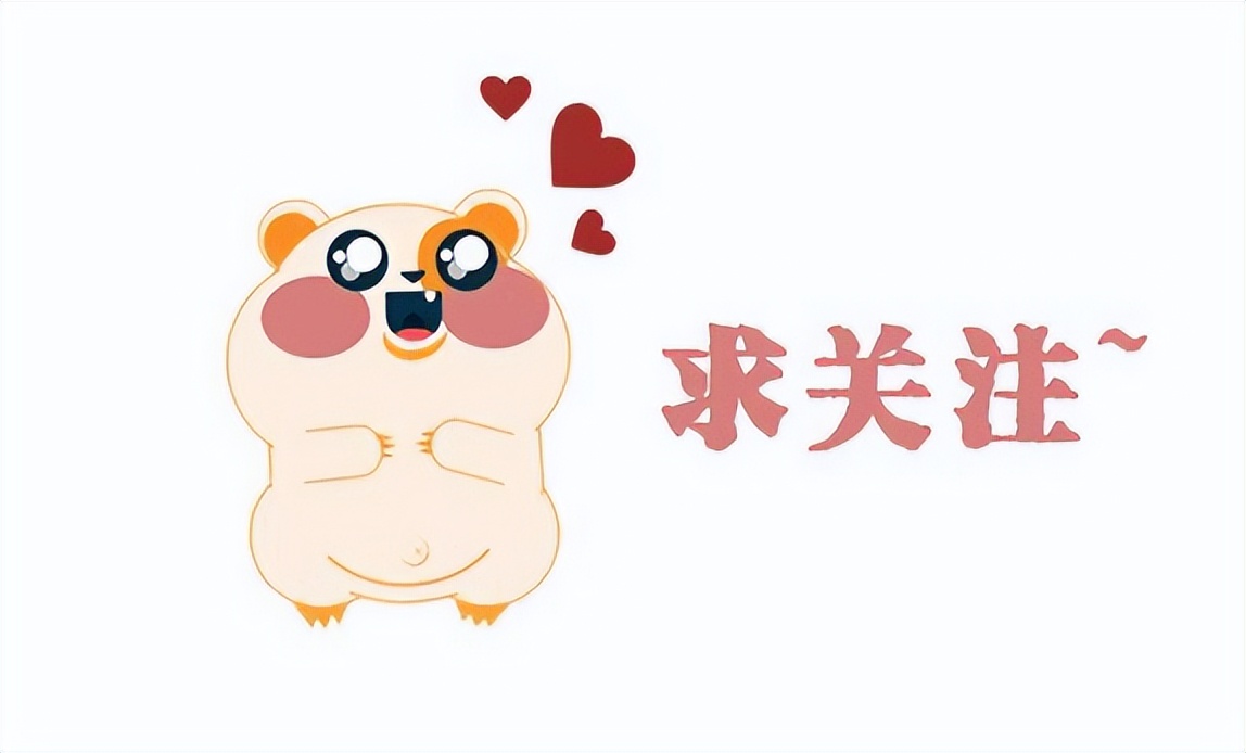 泰迪肚子里有虫子有什么症状,泰迪狗身上的虫子是什么虫