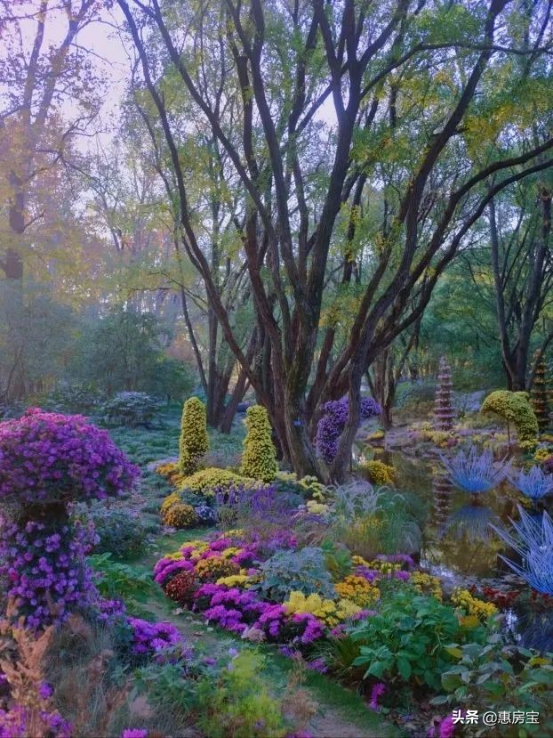 上海公园免费,上海免费公园排行