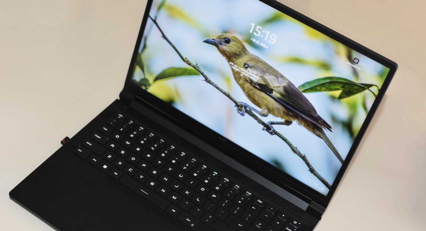 双11游戏本如何选，R76800H+RTX3060，RedmiGPro游戏本测评