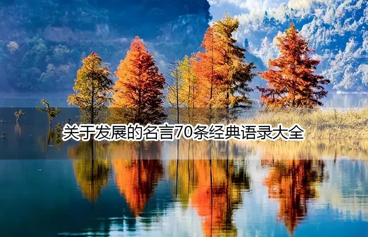 发展金句经典语录,关于发展好的经典语录