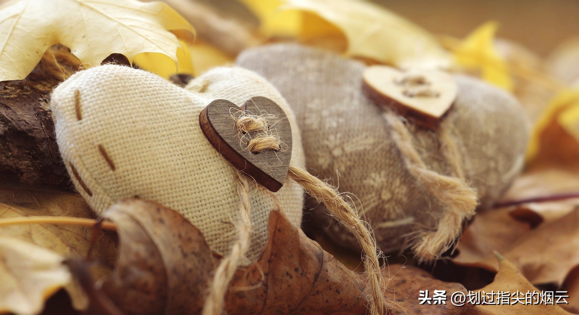 关于爱情的唯美诗句名句,关于爱情的唯美诗句