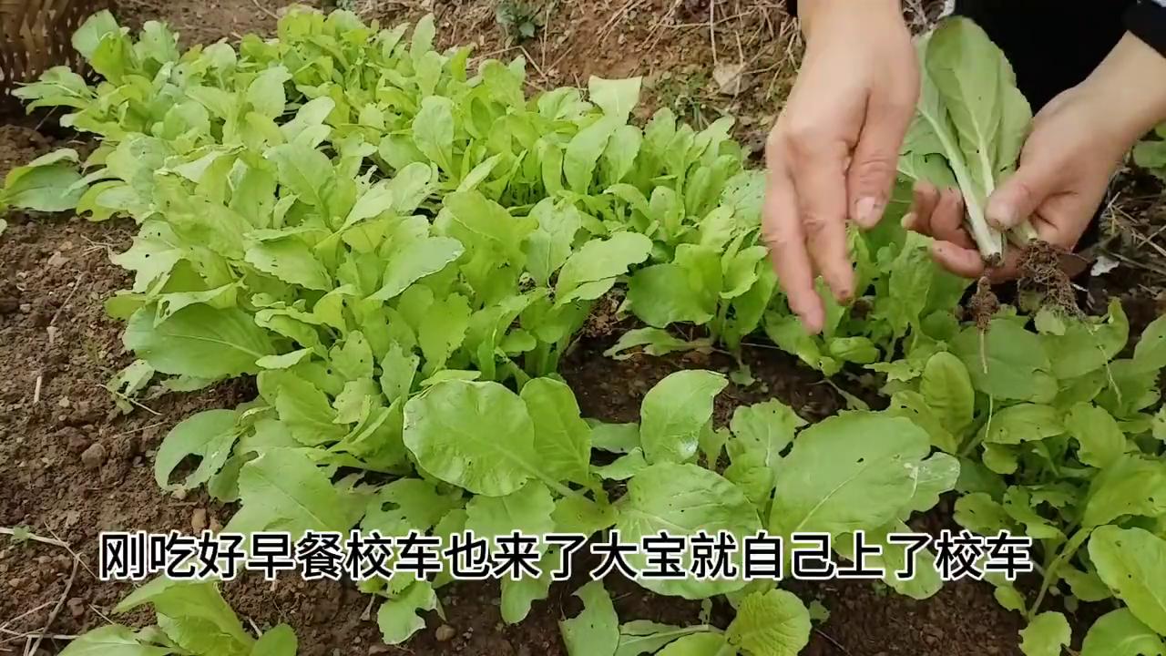 没嫁人之前很幸福,娶湖南老婆是什么感受