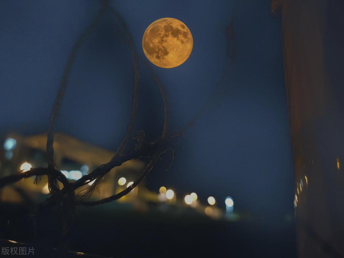 晚安语录简短暖心短句,高情商跟女朋友说晚安的短句100句