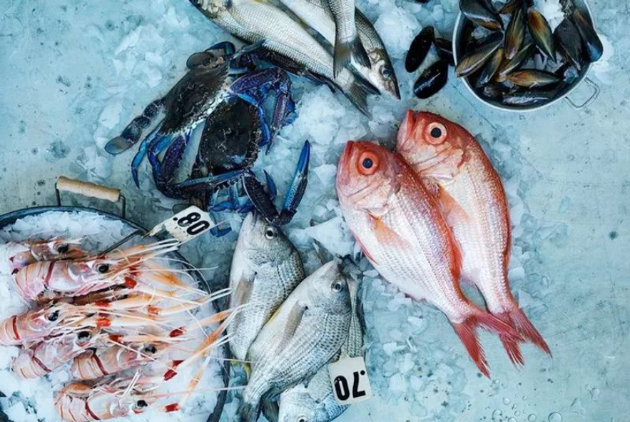 人体冷冻为什么不能解冻,人体冷冻面临的挑战