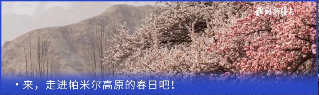 入疆旅游攻略,环疆旅游攻略大全