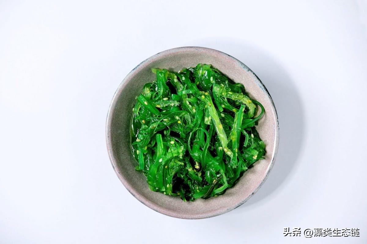 即食海藻有什么营养,食用海藻有色素吗