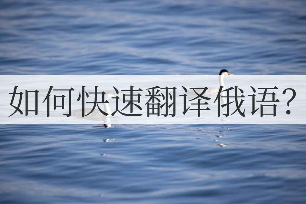 怎么样快速翻译,有什么办法能快速翻译