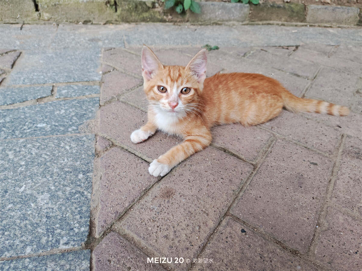 魅族20全系列深度测评,魅族20体验一段时间优缺点总结