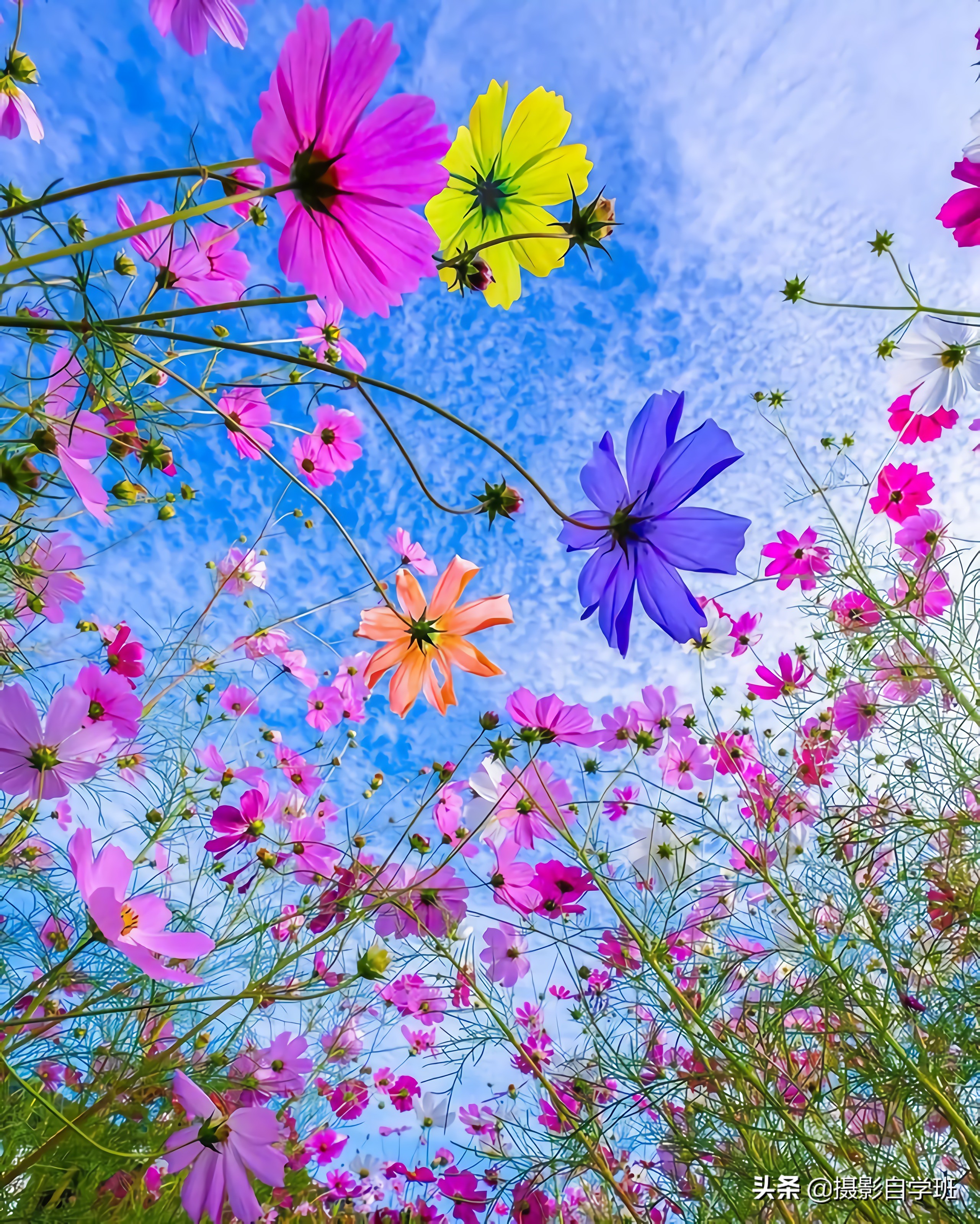 拍美景技巧视频,拍风景的9个摄影技巧