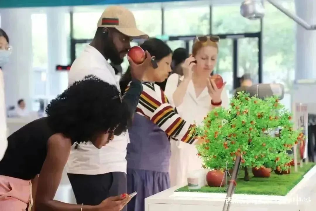 外媒记者点赞苹果“面膜”