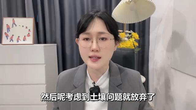 陆家嘴股价为什么那么低,陆家嘴股价