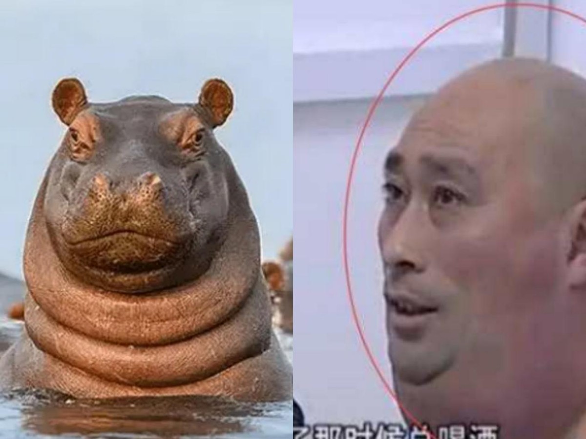 男子喝酒脖子成河马,喝酒喝成河马脖子病