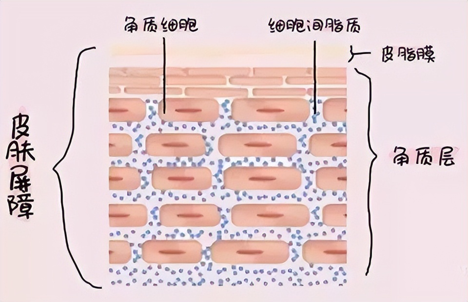 身上老是洗不干净是怎么回事,洗完澡皮肤干痒起白皮屑怎么回事