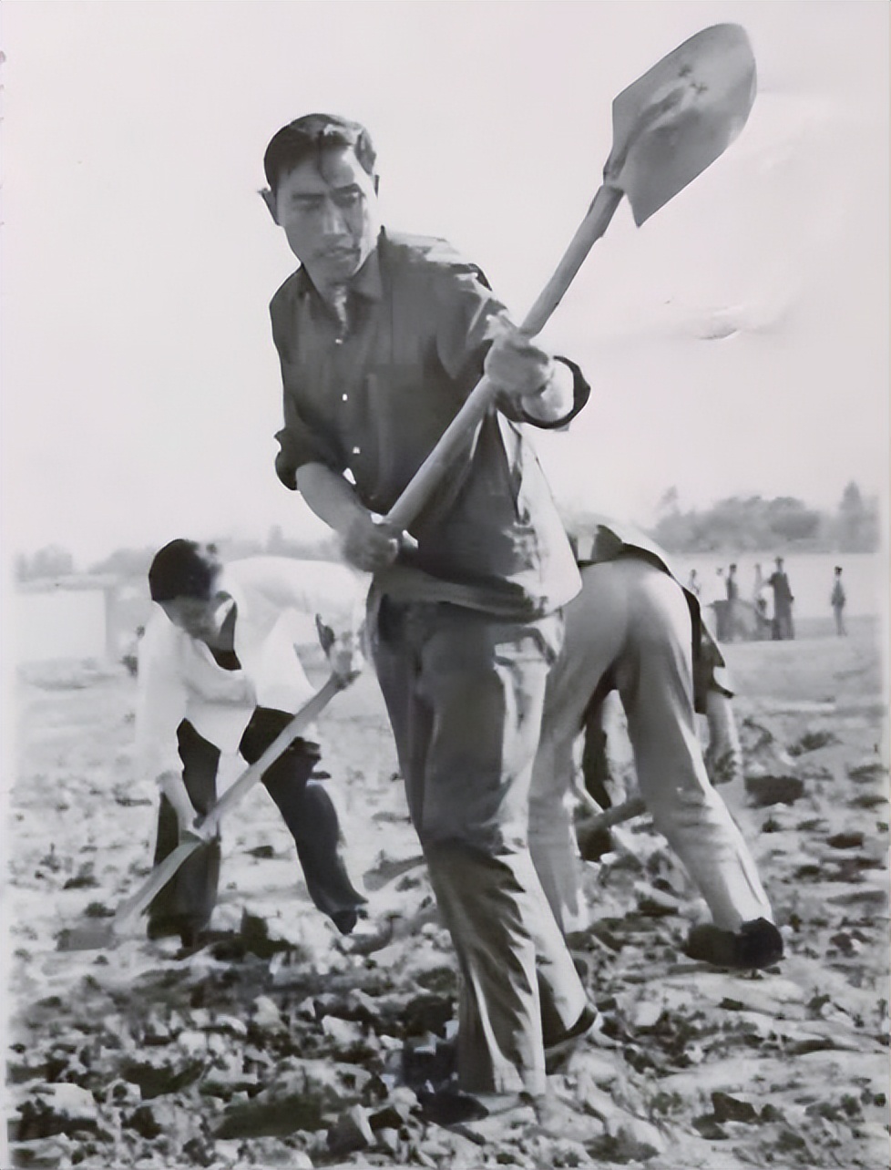 张浦简历,恩师张巨鹿