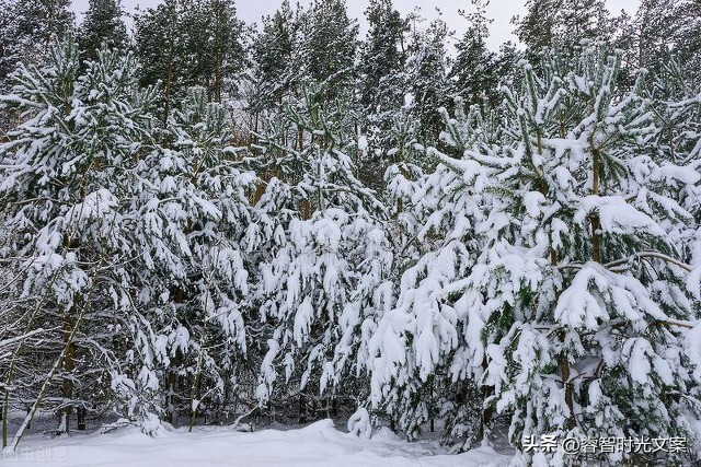 真正做一个勇敢无畏有胆量的人,善待自己做一个坚强的人