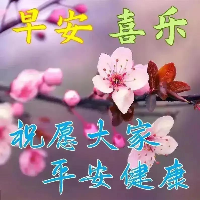 庚子日柱2023年癸卯年运势,癸卯年2023年哪个月出生最好