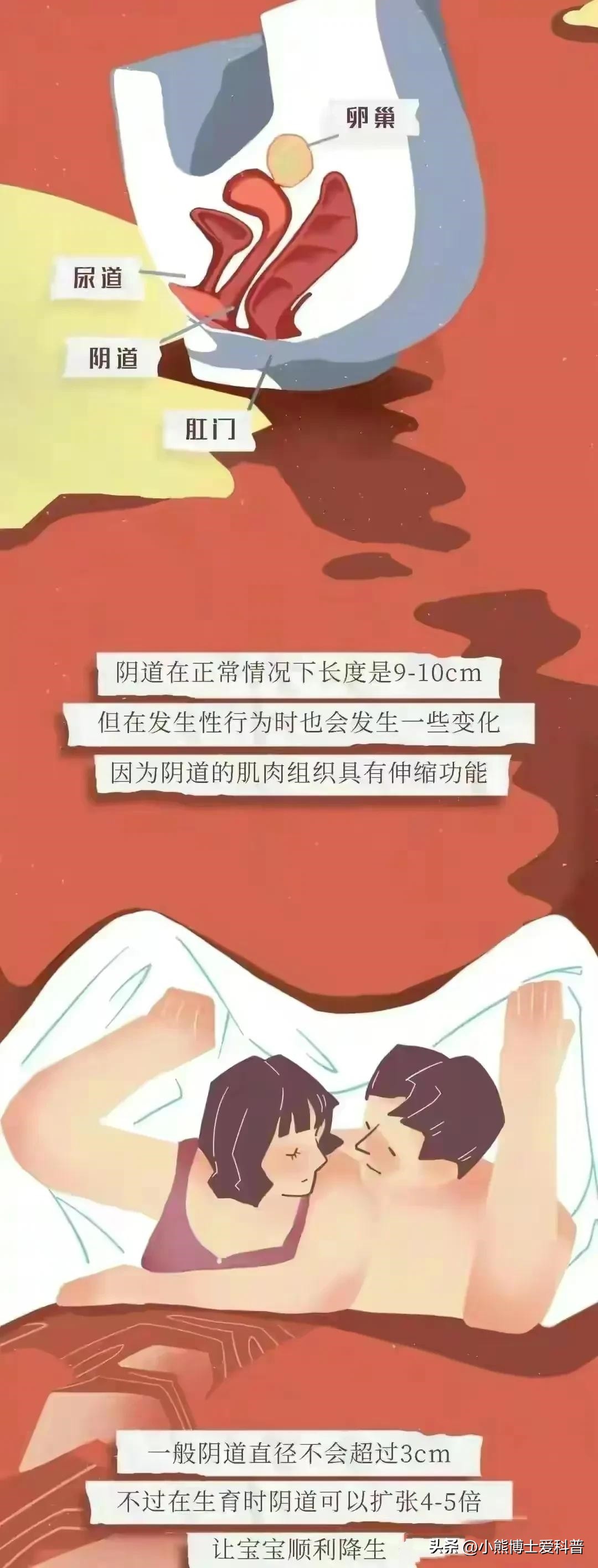 “阴道”作为女性重要器官，真的有女生了解过吗？