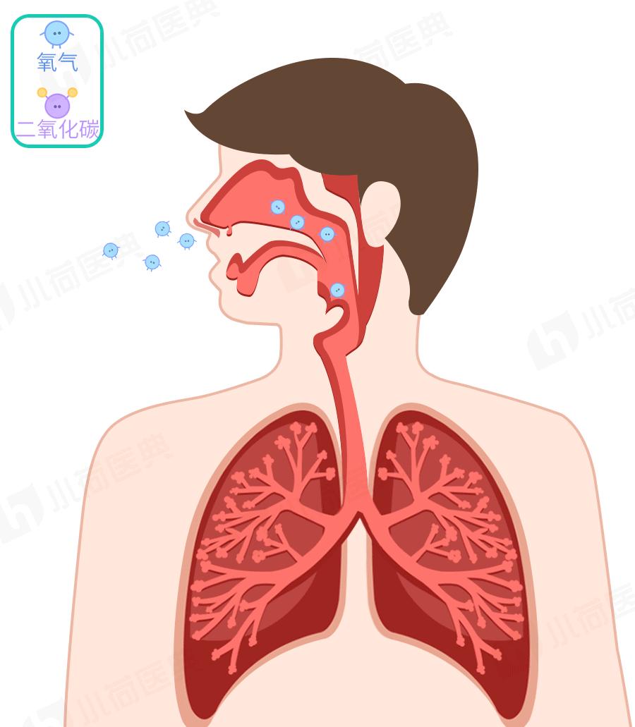 一年82万人发病65万人死亡，癌症“第一杀手”肺癌，是如何产生的