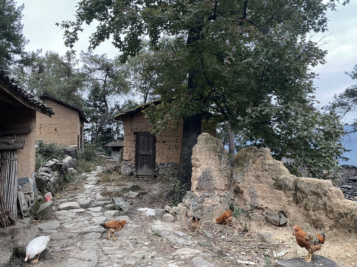 黑骏马组合歌曲辽阔的草原,黑骏马民歌