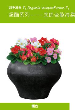 德国疫情带来的变化,德国园艺市场趋势