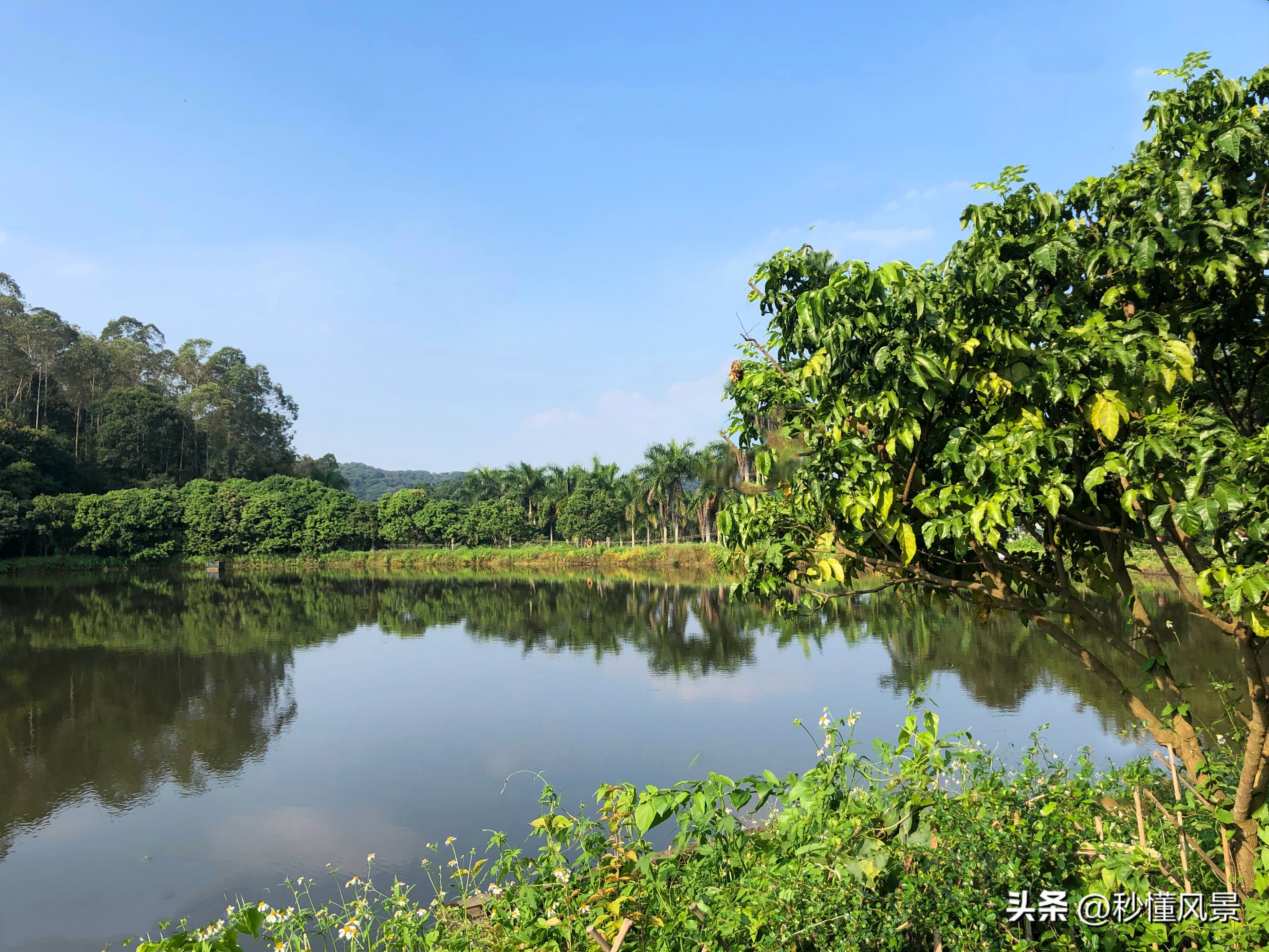 广州周边绿色森林公园拍照,广州市区小众公园景点