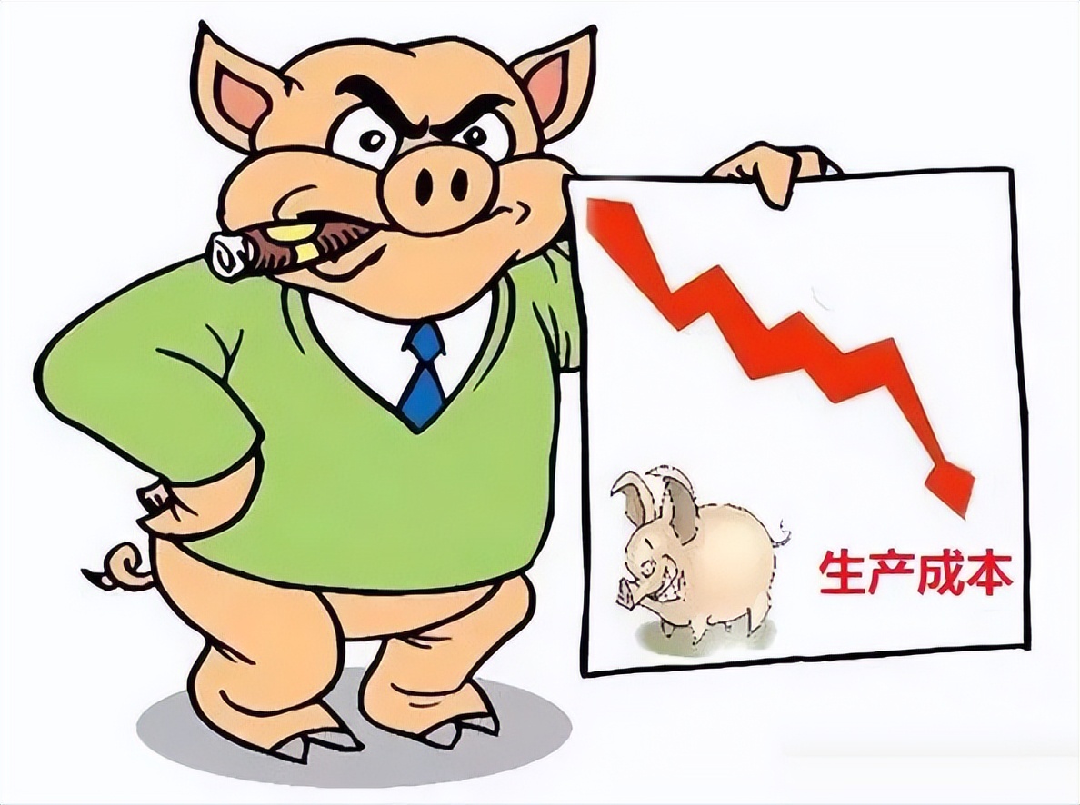 了解养猪现状探寻稳定养猪之策,入坑了只会越陷越深