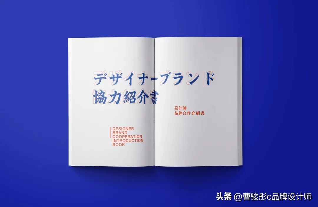 设计产品画册,画册设计产品图片