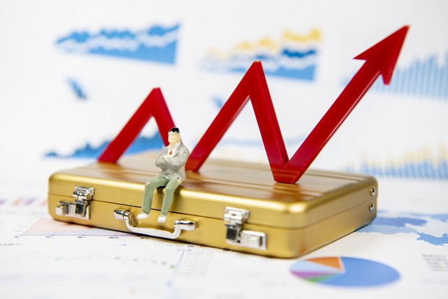 各项收入表格汇总,收入明细每日汇总