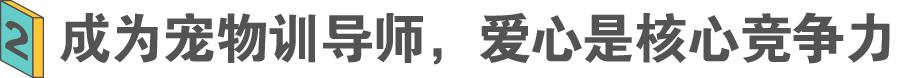 宠物训练学校能赚多少钱,宠物上学比孩子还贵