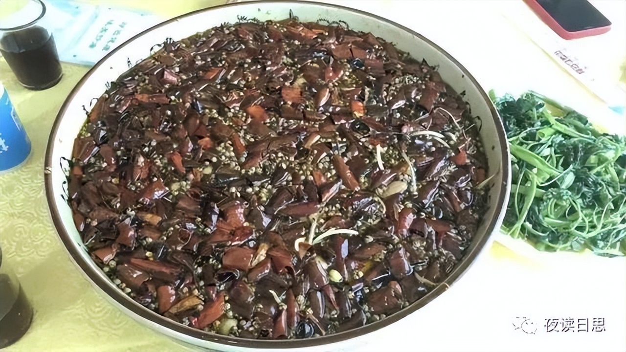 兔年的兔子是怎么样的,兔年兔子特点