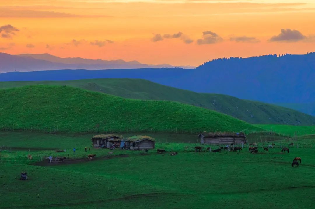 读古诗一首杜甫,杜甫的古诗绝句一首