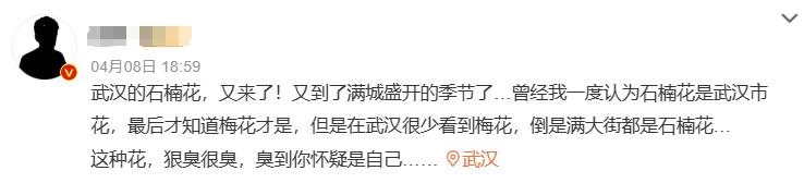 郑州为什么要种那么多石楠花,园林专家说石楠花除了臭没缺点