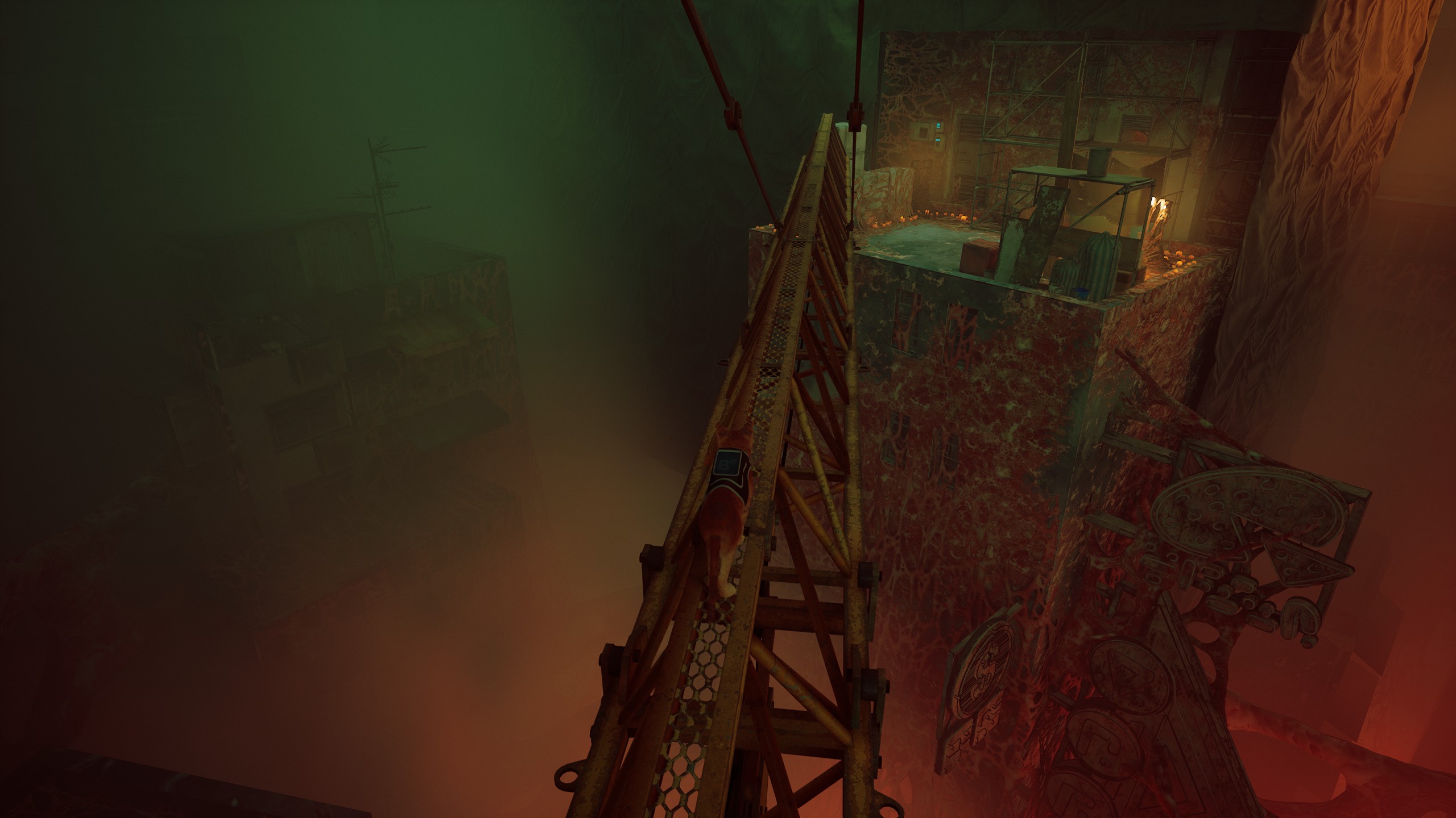 stray新游戏,stray这个游戏怎么样