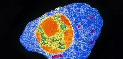 天坛生物专注血液制品,天坛生物净利润低是什么原因