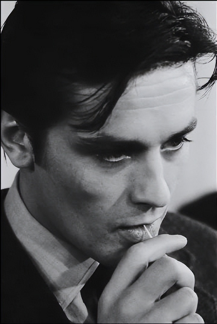 独行杀手深度解析,独行杀手视频完整版