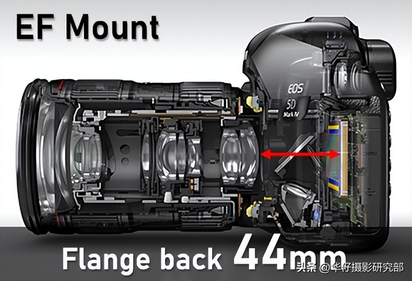 佳能镜头EF和RF有什么区别,佳能efs机身能用ef镜头吗