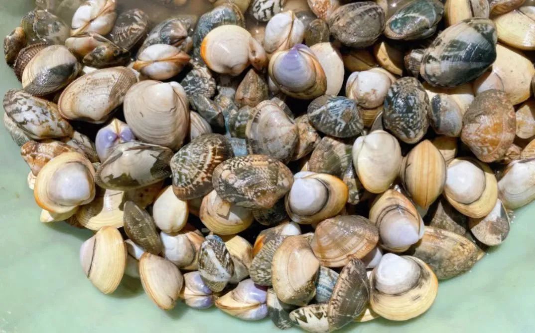 天津遛娃好地方,天津遛娃的免费公园