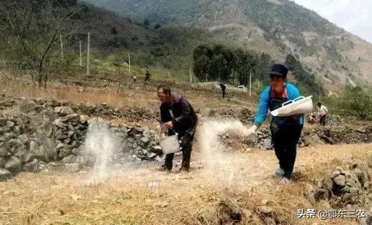 农村夏天防蛇用什么,夏季防蛇用这5种方法