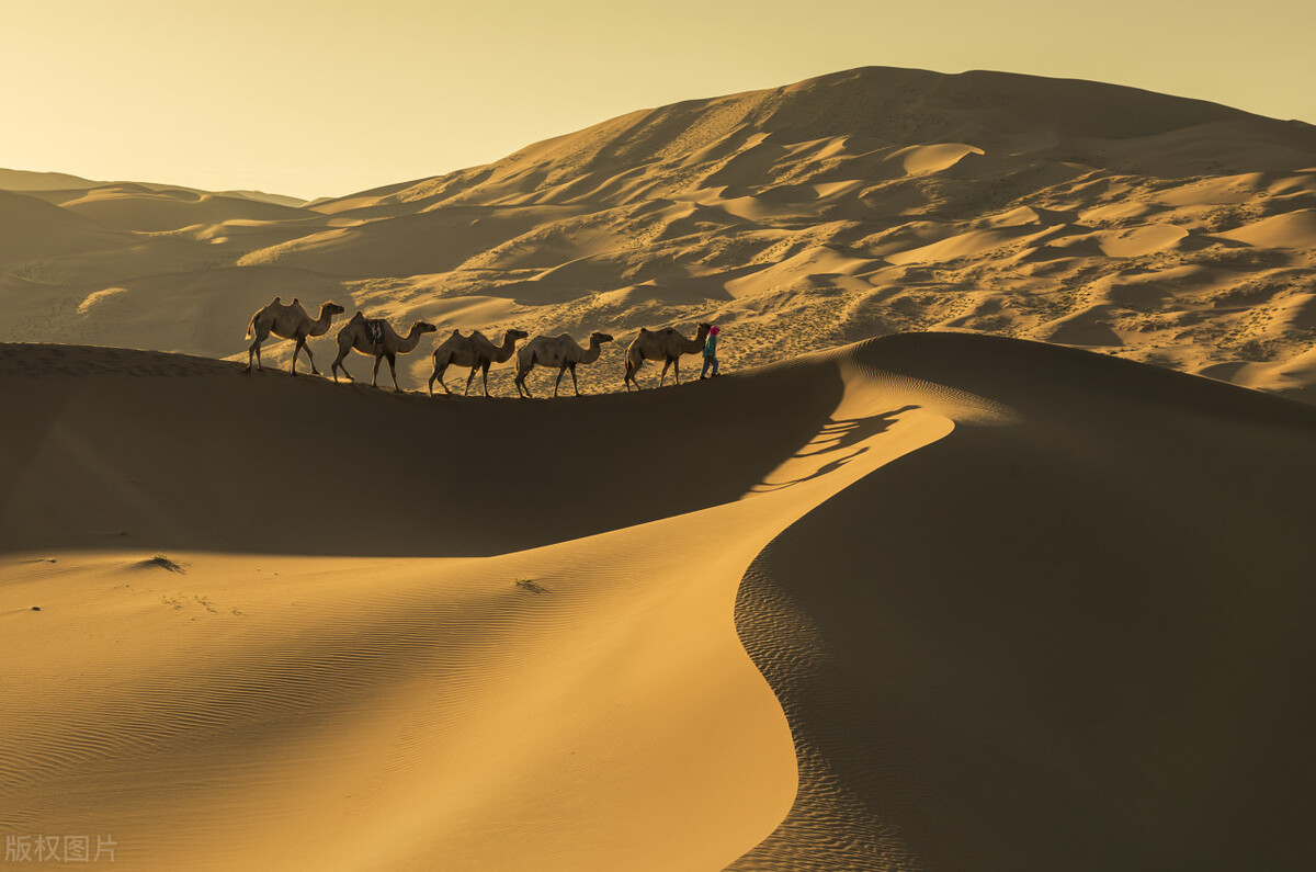 阿拉善旅游攻略必玩的景点地图,内蒙古阿拉善游玩攻略