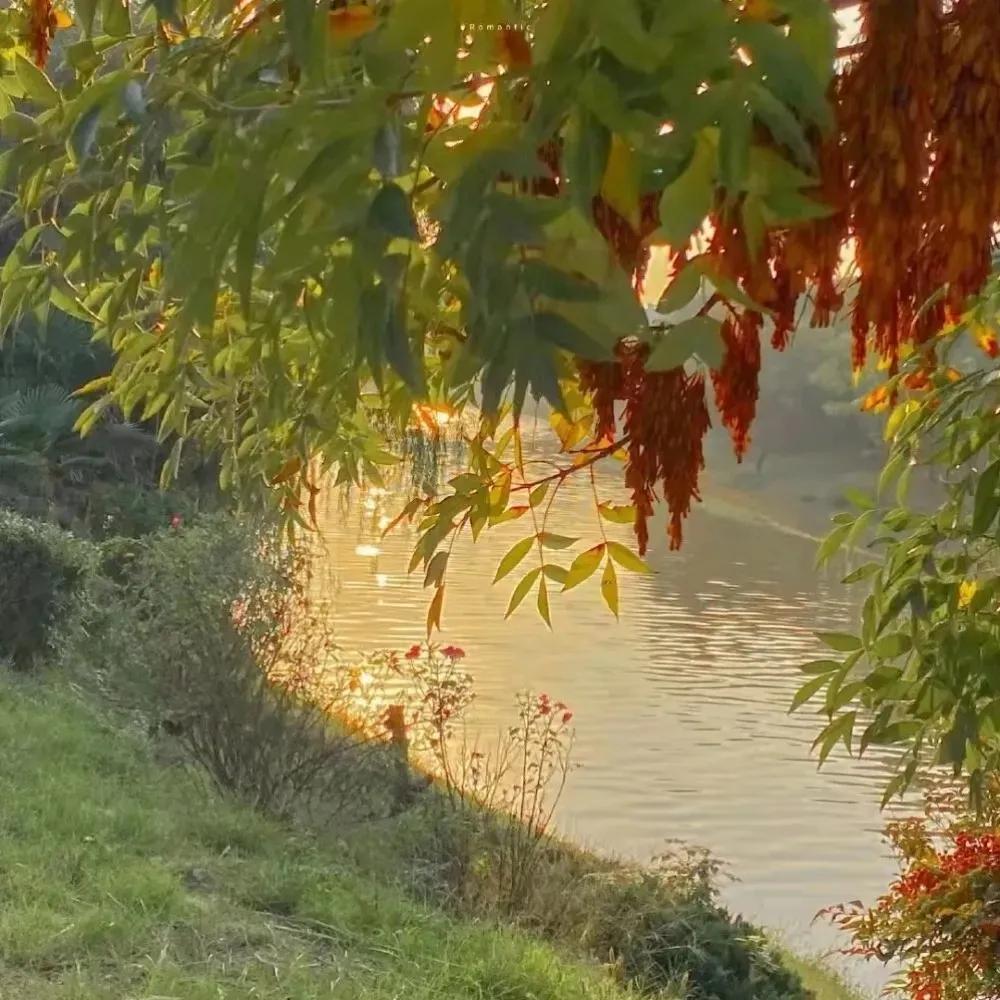 干净大方的背景图,绝美背景图干净