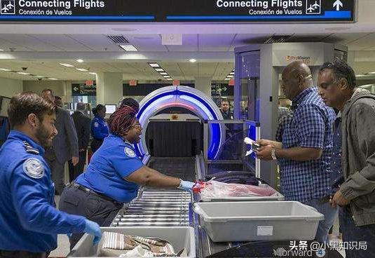 美国再遭生物入侵，30万只缅甸蟒泛滥成灾，最大能长9米，400斤重