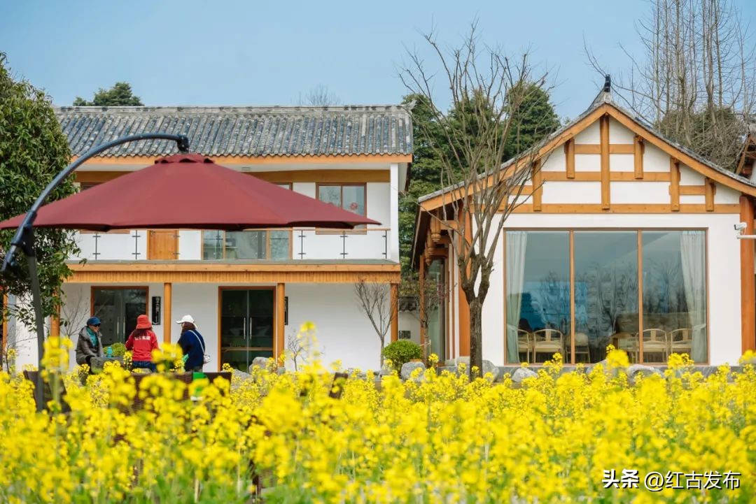 乡村振兴2023年最新热点,2023年乡村振兴必背知识点