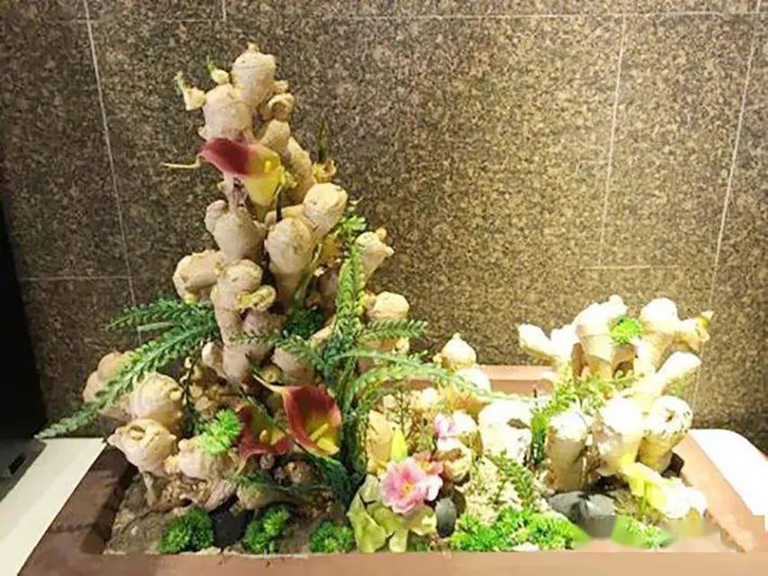 如何一年四季种盆栽生姜,盆栽生姜和种地里的生姜