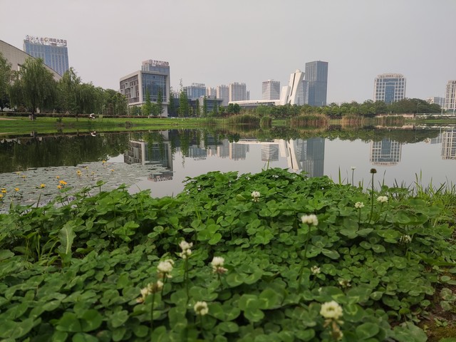 湖南省常德市文理学院详细地址,湖南文理学院坐落于常德什么地方
